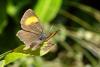 253854 – Photo : Nicolas Alric – France (12)